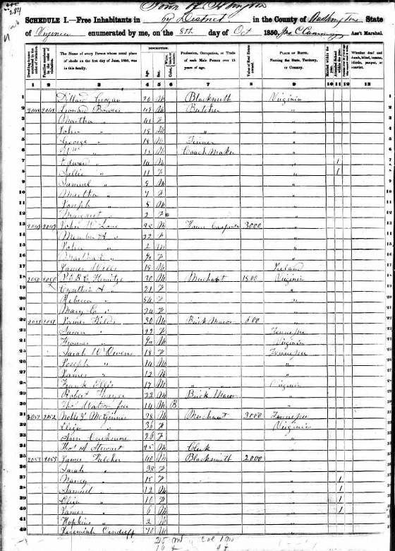 1850 Virginia Washington Abingdon federal census for Peter E. B. C. Henritze